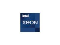 Cpu Intel Xeon  -2324g     Ghz   Kerner Lga1200 Tray Uden Køler