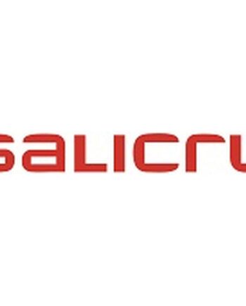 Salicru Interaktiv Ups System Til Uafbrydelig Strømforsyning