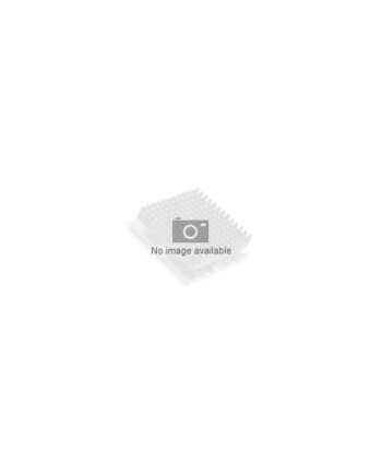 Intel Xeon Gold 6226 Cpu     Ghz Processor 12-core Med 24 Tråde 19 25 Mb Cache