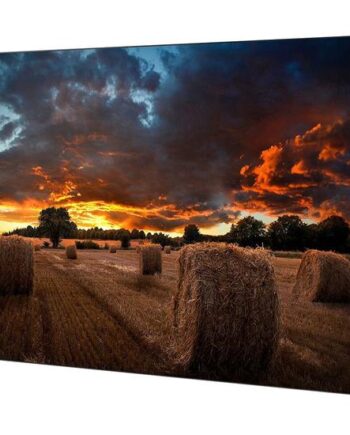 Samsung Vm55b-  Vmb-  Series 55 Quot  Led-bagbelyst Lcd Paneldisplay Full Hd For Digital Skiltning