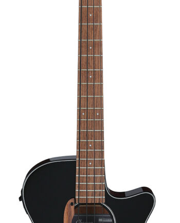 Ibanez Aegb24e-bkh Akustisk Bas Med Pickup