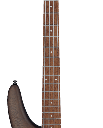Ibanez Sr300eb-wnf El-bas Walnut Flat
