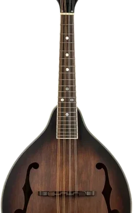 Ortega Rma30-wb  -style Mandolin