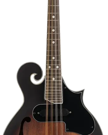 Ortega Rmfe30-wb  -style Mandolin Med Pickup