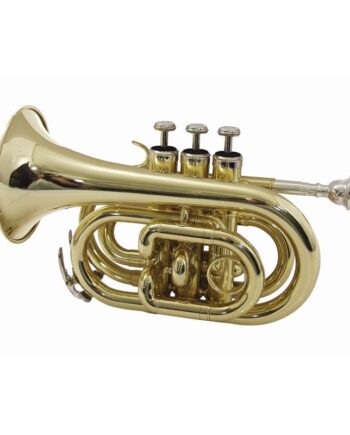 Bb Mini Trompet  Gulddimavery Tp-300