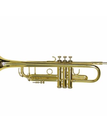 Bb Trompet  Gulddimavery Tp-20