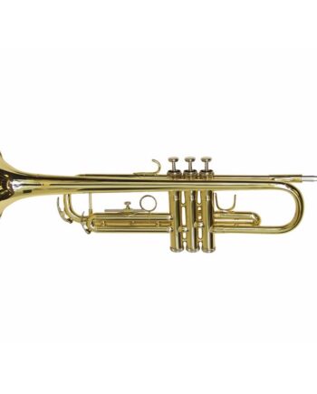 Bb Trompet  Gulddimavery Tp-10