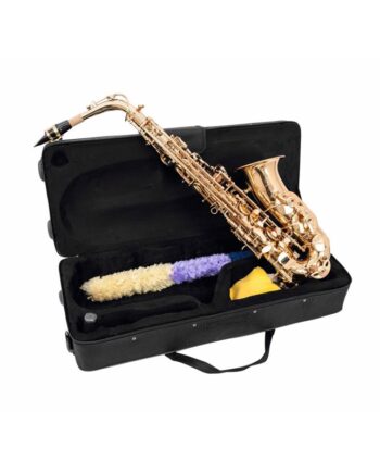 Eb Alt Saxofon  Guld  Dimavery Sp-30