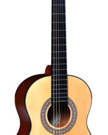 Santana Classical 17 Klassisk Guitar     Satin