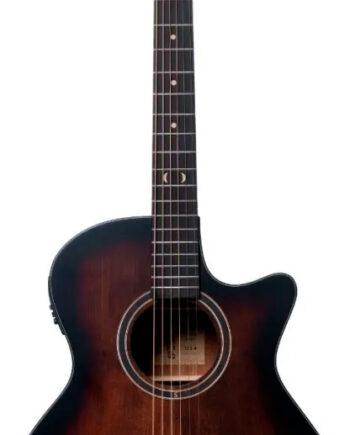 Santana Player G14 Western Guitar Med Pickup  Tuner Og Cutaway Brown Burst