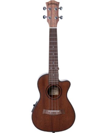 Santana U6   Concert Ukulele