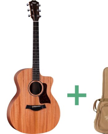 Taylor 24ce Western-guitar