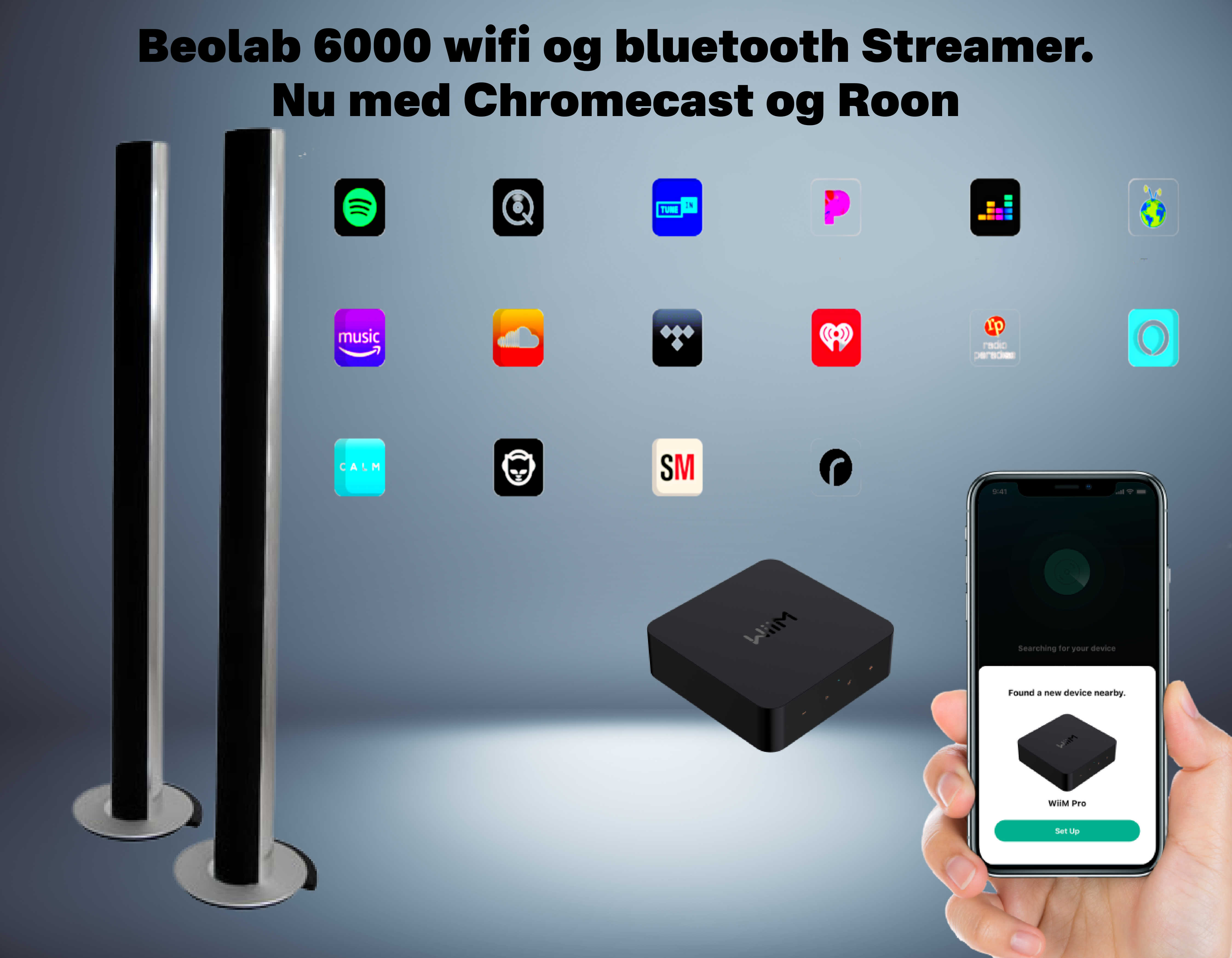 Beolab 6000 Streamer Med Wifi  Bluetooth  Chromecast   Roon
