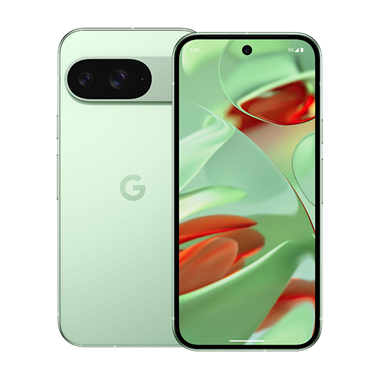 Google Pixel   5g  256gb Wintergreen