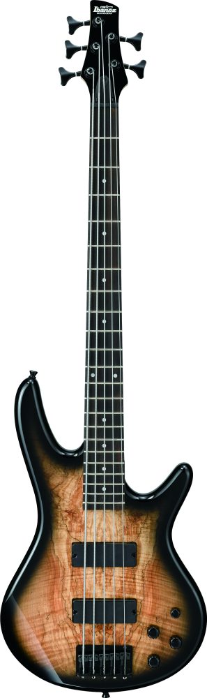 Ibanez Gsr205sm-ngt El-bas Natural Gray Burst