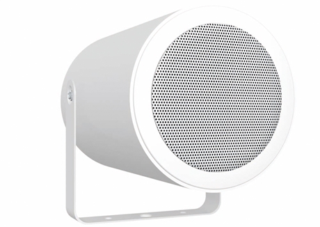 Pa Sound Projector Rl-12