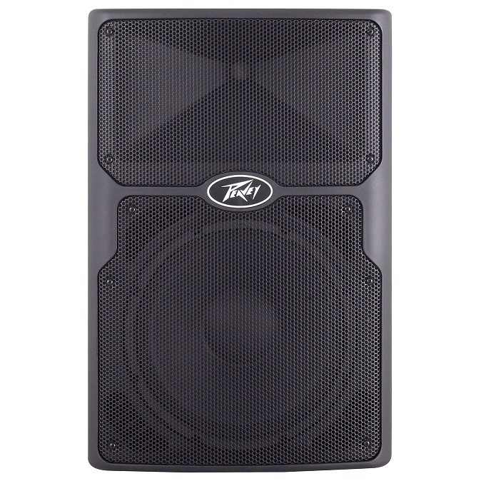 Peavey Pvx-12